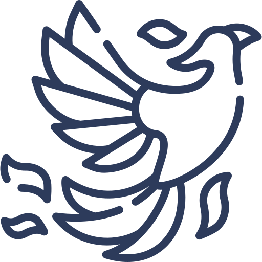 Logo paquete VUELA reportes